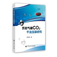 页岩气藏CO2干法压裂研究 博库网