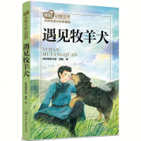 遇见牧羊犬 黑鹤动物文学名师导读 全彩珍藏版 动物小说文学故事 7-14岁二三四五六年级小学生课外阅读书籍经典儿童