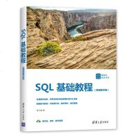 SQL基础教程数据库技术丛书 SQL 基础教程视频教学MySQL 程序设计 mysql数据库 sql数据库书籍 sq