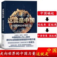 这就是中国 走向世界的中国力量 张维为 互联网思维 中国智慧模式 中国三部曲文明型国家 建构政治领域中国标准 中国政