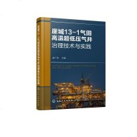崖城13-1气田高温超低压气井治理技术与实践 精 余热利用节能技术 海上平台电力组网技术书籍 采油工艺研究和方案实