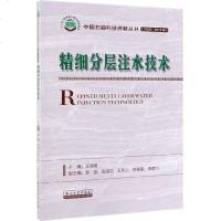 精细分层注水技术(2006-2015年)/中国石油科技进展丛书 博库网