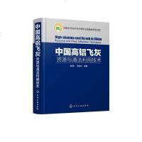 中国高铝飞灰 资源与清洁利用技术 高铝粉煤灰高铝煤矸石等二次资源提取氧化铝关键技术系统研究 高铝粉煤灰综合利用技术书