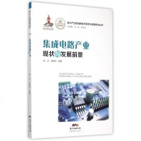 集成电路产业现状与发展前景/新兴产业和高新技术现状与前景研究丛书 博库网