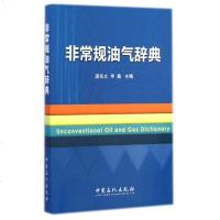 非常规油气辞典 博库网