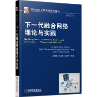 下一代融合网络理论与实践/ 信息工程 技术译丛