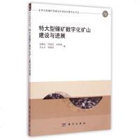 特大型镍矿数字化矿山建设与进展/特大型镍矿充填法开采技术