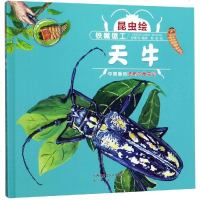铁嘴锯工:天牛(精装)/昆虫绘 付赛男 著 绘画/漫画/连环画/卡通故事少儿 新华书店正版图书籍 陕西未来出版社有限