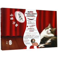 小猫小猫怎样叫 左伟 著 益智游戏少儿 新华书店正版图书籍 山东科学技术出版社 文轩网