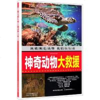 神奇动物大救援 许焕岗 著 著 益智游戏少儿 新华书店正版图书籍 北京少年儿童出版社 文轩网