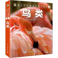 青少年馆藏级动物大百科 4 鸟类 生活习性繁殖特点大全 海鸥天鹅鸭子企鹅常识书 大自然鸟类飞禽 青少年科普课外阅读图