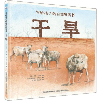 干旱 (澳)杰西·弗兰 著 刘萱,刘玉林 译 (澳)布鲁斯·沃特利 绘 益智游戏少儿 新华书店正版图书籍 河北少年儿