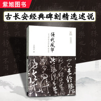 绝代风华古长安经典碑刻精选述说 文字的故事丛书王伟亚著 现代文学记录从书大西安地区经典碑刻 中国书法发展史