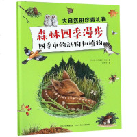 森林四季漫步:四季中的动物和植物/大自然的珍贵礼物 (奥地利)苏珊娜.莉娅 著 索玲玲 译 益智游戏少儿 新华书店正