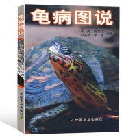 龟病图说 养龟的书籍 轻松掌握龟鳖健康养殖养龟书籍大全养龟技术书籍 兽医龟类动物饲养捉拿方法 龟与疾病防治高效养龟技