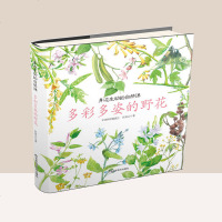 正品 身边生动的自然课多彩多姿的野花 儿童幼儿自然百科科普读物小学生儿童课外知识儿童文学 3-12岁儿童的自然图鉴绘