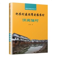 把农村建设得更像农村洞庭渔村王求安著中国乡村建设系列丛书新农村建设特色小镇规划建筑设计书籍乡村建设理论农村旅游项目策