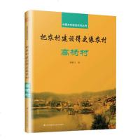 中国乡村建设系列丛书把农村建设得更像农村高椅村胡鹏飞著中国乡村振兴规划书籍中国建筑文化 书美丽乡村规划设计城乡规划