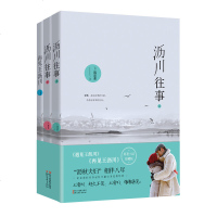 正版 再见王沥川+遇见王沥川全集3册 沥川往事上下 赠3万字番外高以翔焦俊艳电视剧原著施定柔都市爱情小说抖音同款文学
