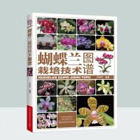 蝴蝶兰栽培技术图谱 蝴蝶兰种植技术书籍 兰花品种选育培育 种植方法 常见病虫害及防治 组盆技术 家庭养殖水培方法养花
