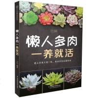 懒人多肉一养就活养多肉的书多肉养殖方法多肉图懒人养多肉书籍多肉养护书籍多肉养殖书籍多肉植物书籍多肉书籍多肉怎么养品种