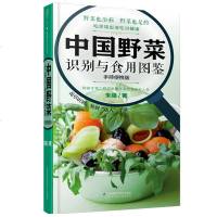 中国野菜识别与食用图鉴 野菜书籍大全 食谱书 菜谱书 野菜的食用方法 中国野菜百科 中国野菜大全 野菜的功效大全 野