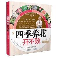 四季养花开不败 新手四季养花 实用养花大全的书 花卉书籍图书大全 新手养花入家庭养花大全养花书籍种花大全花语大全书