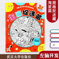 风靡全球的经典益智游戏 图画捉迷藏·海星篇 武汉大学出版社 儿童经典益智游戏 少儿专注力培养思维训练益智图画书