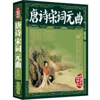 全彩国学馆 唐诗宋词元曲 中华文化传世经典 了解传统文化书书籍 中国古诗词点评 词典大全辞典诗集文学读物