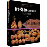 正版人间瑰宝:橄榄核收藏与鉴赏(世界高端文化珍藏图鉴大系)橄榄核雕把玩收藏鉴赏图书 核雕工艺作品 橄榄核雕微雕保养书