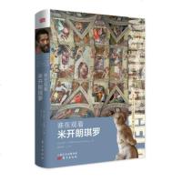 正版谁在观看米开朗琪罗常春藤名校维克森林大学文艺复兴艺术史教授伯纳丁巴恩斯厚积薄发之作 触摸米开朗琪罗的创作细节文艺