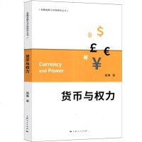 货币与权力 施箐 著 货币权力理论书籍 国际经济/投资/金融/经济/货币政治 书籍 货币权力运作基本原理 美国货币