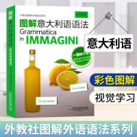 [官方正版]图解意大利语语法 外教社 图解外语语法系列 意大利语学习自学入教材 意大利语语法自学基础入 意大利语