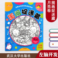 风靡全球的经典益智游戏 图画捉迷藏·月亮卷 武汉大学出版社 儿童经典益智游戏 少儿专注力培养思维训练益智图画书