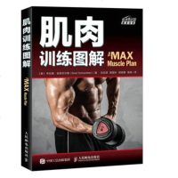 正版 肌肉训练图解 人民邮电出版社 布拉德舍恩菲尔德(Bra