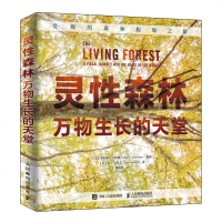 灵性森林 万物生长的天堂 森林 植物 生物 动物 自然探索 壮观的森林腹地之旅 真实体味自然的神奇与美妙