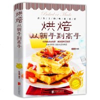 正版 王森西点烘培书籍 烘焙从新手到高手泡芙蛋糕面包制作大全烤箱美食烹饪初学君之烘培教程书籍蛋糕甜点学做面包