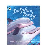 英文原版绘本 Dolphin Baby 小学STEM科普自然百科读物 儿童自然故事书 彩图 Walker Natur