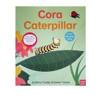 英文原版绘本 Rounds:Cora Caterpillar 神奇的生命系列 毛毛虫科拉 儿童启蒙知识读物 毛毛虫的