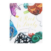 英文原版 A Rock is Lively 岩石,如此活泼 美丽成长生命系列 科普绘本 百科认知读物 小学STEAM