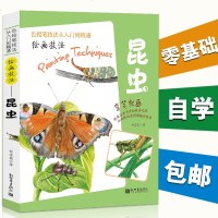 正版 拿笔就画色铅笔技法从入到精通 昆虫 彩铅画入教程书彩铅入 绘画技法景手绘插画教程彩铅书素描美术经典 书