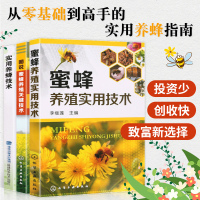新版养蜂书籍3册 实用养蜂新技术 养蜜蜂技术大全的书高效养中蜂土蜂意蜂 图说蜜蜂养殖关键技术 蜜蜂病虫害防治养殖技术
