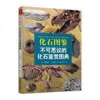 正版新书 200余种化石图鉴:不可思议的化石鉴赏图典 恐龙化石 书籍化石书 考古书籍 科普读物 岩石与矿物的彩色图鉴