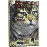 猫武士首部曲第2版5路惊魂 猫武士一部曲狗武士同类书籍 少儿童成长励志/传奇的猫族奇幻世界 中国少年儿童出版社 动
