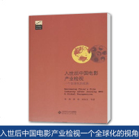 北师大 入世后中国电影产业检视一个全球化的视角 平装 张燕 北京师范大学出版社