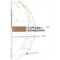 复杂理论视角下集群网络治理研究 何铮 周双双 王茜 科学出版社 耗散结构 协同学 突变论 分形 混沌理论