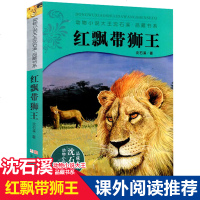 正版 红飘带狮王 动物小说大王沈石溪品藏书系中小学生课外阅读书不带拼音儿童文学 书籍 浙江少年儿童出版社285页