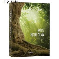 正版 树的秘密生命 彼得渥雷本 生物学植物学书 科学知识百科 自然科普教育启蒙认知青少年兴趣读物书
