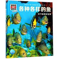 什么是什么 珍藏版 各种各样的鱼 水下的奇妙世界 德国少年儿童百科知识全书 6-12岁小学生科普百科全书长江少年儿童