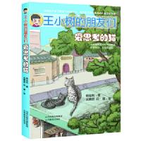 正版2020年江西省暑假读一本好书3-4年级读物王小树的朋友们爱思考的猫 假期读书三四年级课外阅读杨宝利著山